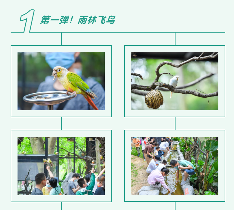 �ڲ�����-����Ϊ��,רҵ����!