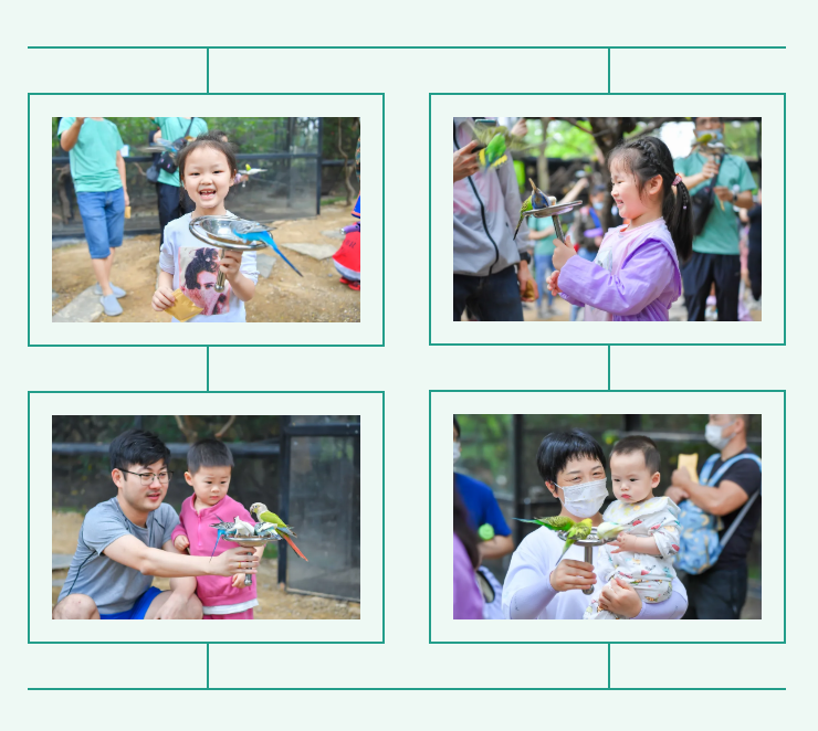 �ڲ�����-����Ϊ��,רҵ����!